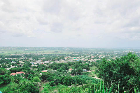 Barbados: Tour guiado panorámico privado