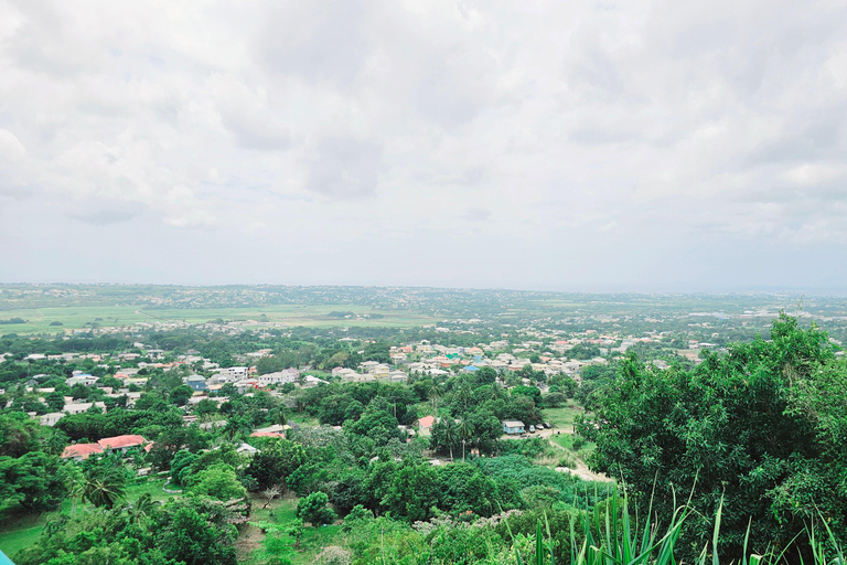 Barbados: Privat naturskön guidad tur