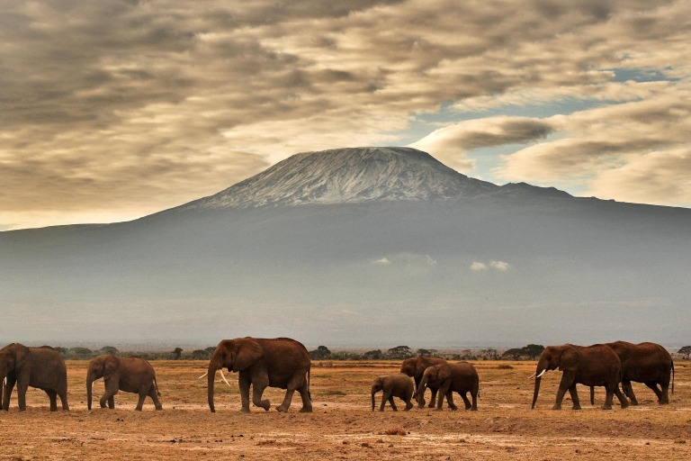 Mount Kilimanjaro Climbing Through Lemosho Route 8 Days