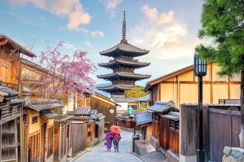 Kyoto & Nara Tagestour ab Osaka/Fushimi Inari, Arashiyama
