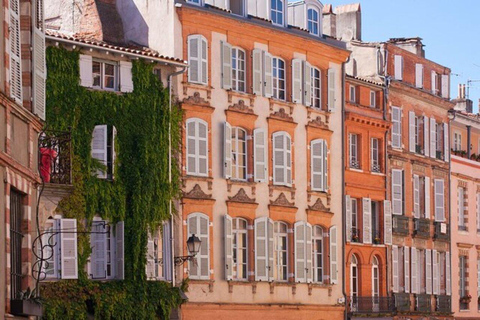 Toulouse : Must-see Walking Tour2 Hours Private Walking Tour