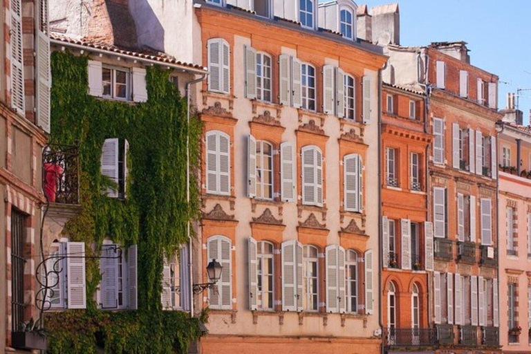 Toulouse : Must-see Walking Tour2 Hours Private Walking Tour