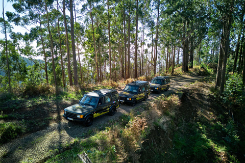 Tropical Tide, Porto Moniz & Fanal Forest 4WD Jeep Tour