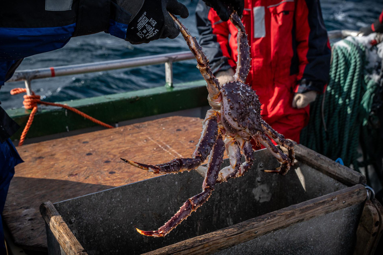 The official Tromsø king crab fish tour