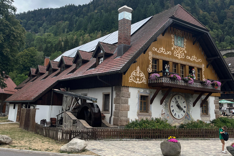 From Basel: Black Forest, Alsace & Colmar Private Day Trip