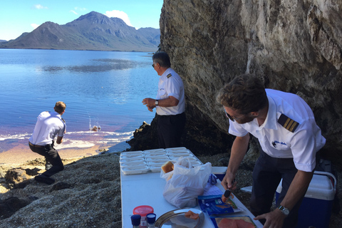 Hobart: vlieg en cruise in het zuidwesten van de wildernis met lunchTour met standaardtoegang