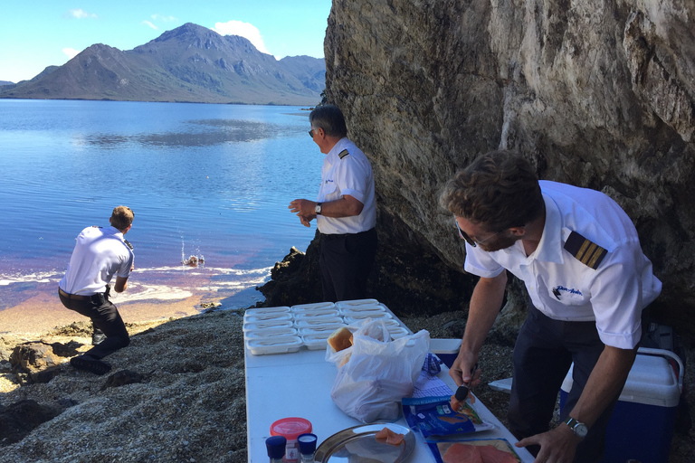 Hobart: vlieg en cruise in het zuidwesten van de wildernis met lunchTour met standaardtoegang