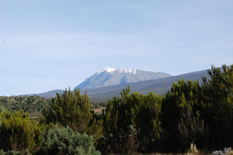 Randonnée d'une journée au Mont Kilimandjaro