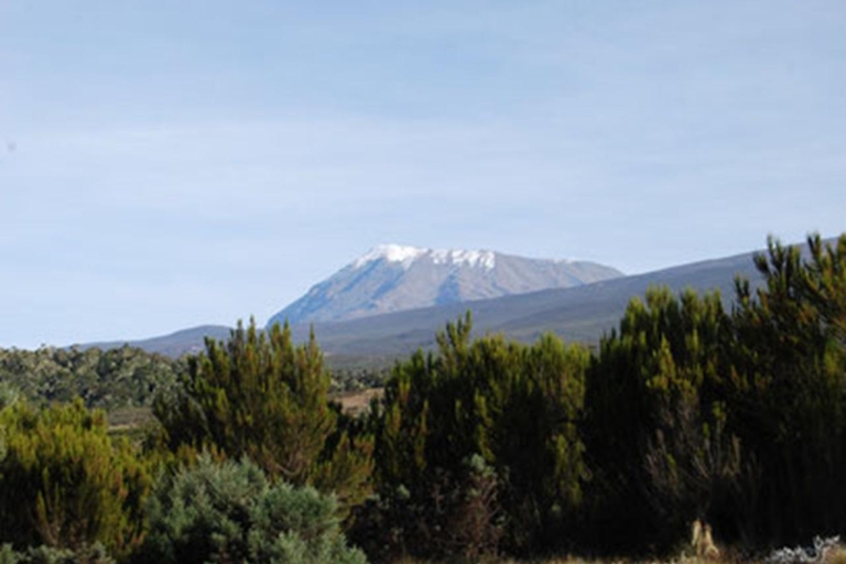 Mount Kilimanjaro Tageswanderung