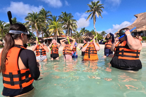 Riviera Maya: Nado con Tortugas, Cenote y Almuerzo mexicano. Riviera Maya:Nado con Tortugas, 3 Cenotes, Almuerzo Mexicano