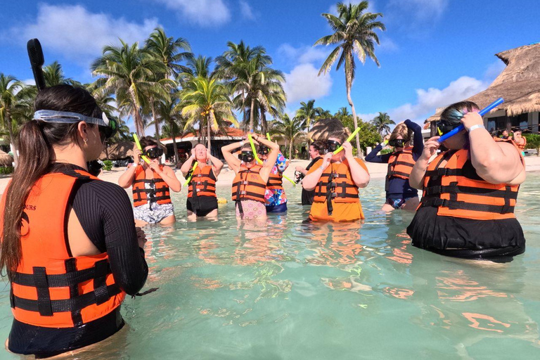Riviera Maya: Nado con Tortugas, Cenote y Almuerzo mexicano. Riviera Maya:Nado con Tortugas, 3 Cenotes, Almuerzo Mexicano