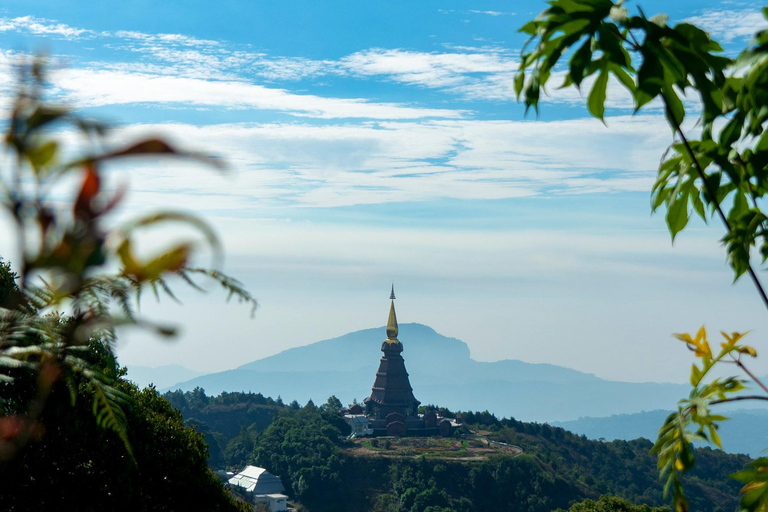 Chiang Mai: Doi Inthanon Park Vandring &amp; Elefanternas fristadChiang Mai: Doi Inthanon nationalpark &amp; elefanternas fristad