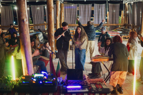 Ushi: Entry Ticket to Sacred Sound & Wellness Day