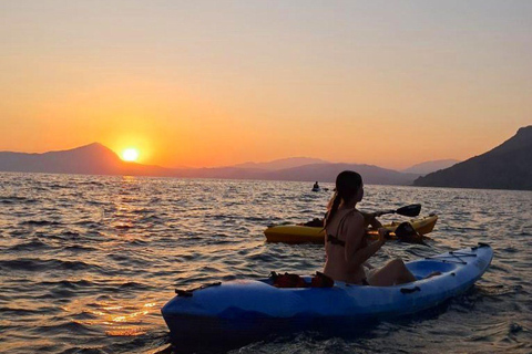 Tenerife: Excursión guiada en kayak para avistar tortugas y delfines