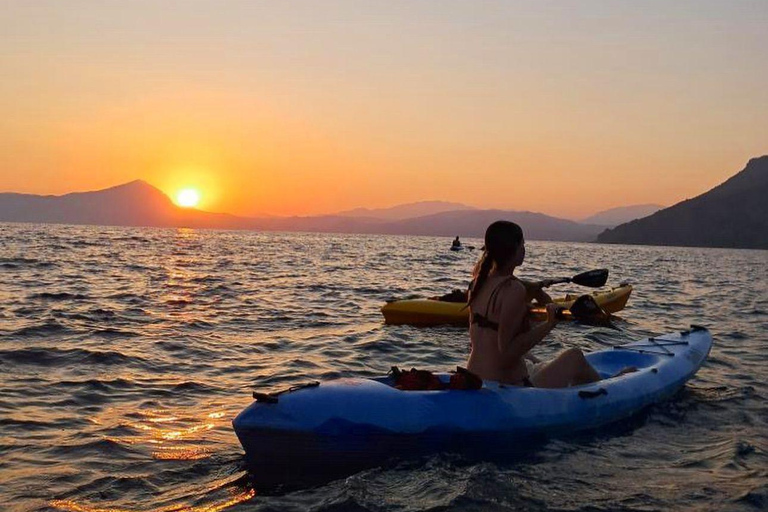 Tenerife : Visite guidée en kayak pour repérer les tortues et les dauphins