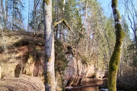 Från Riga: Ligatne Village och Gauja River National Park ...