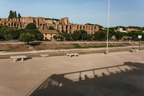 Roma: Tour panoramico in autobus con audioguidaBiglietto dell&#039;autobus da 72 ore con guide digitali della città