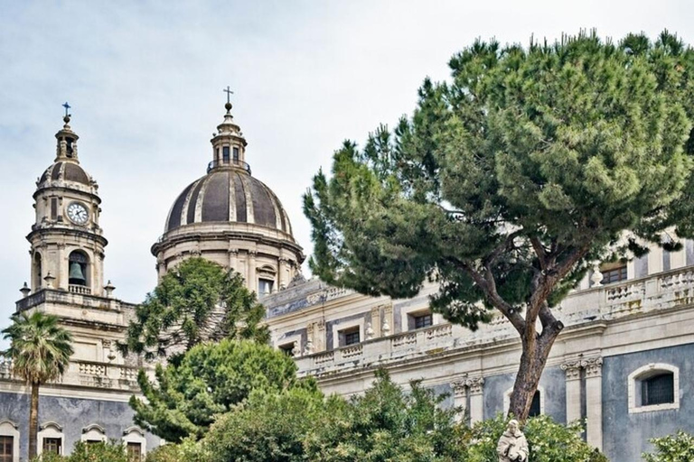 Catania Highlights Walking Tour With A Guide Group Walking Tour