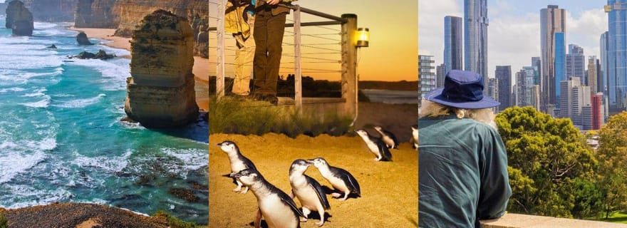 Melbourne : Great Ocean Road, parade des pingouins et visite libre de la ville