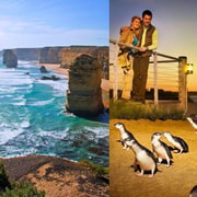 Melbourne: Great Ocean Road, Penguin Parade & Free City Tour