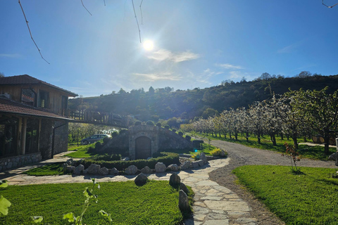 奥赫里德：巴拉克利亚蒸馏厂传统拉基亚品鉴奥赫里德：巴拉克利亚传统拉基亚酒厂品鉴