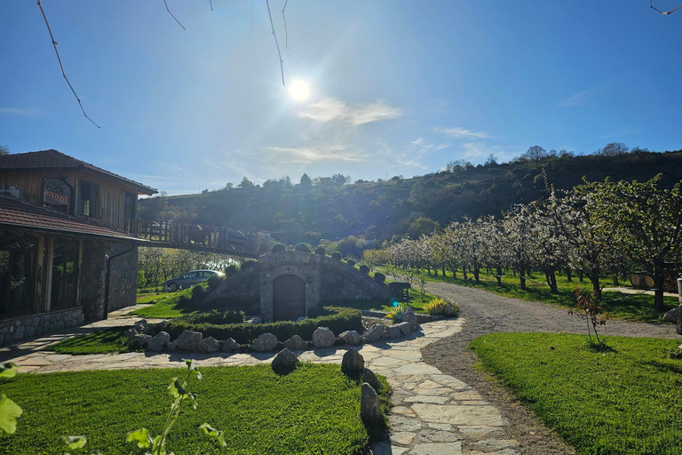 奥赫里德：巴拉克利亚蒸馏厂传统拉基亚品鉴奥赫里德：巴拉克利亚传统拉基亚酒厂品鉴