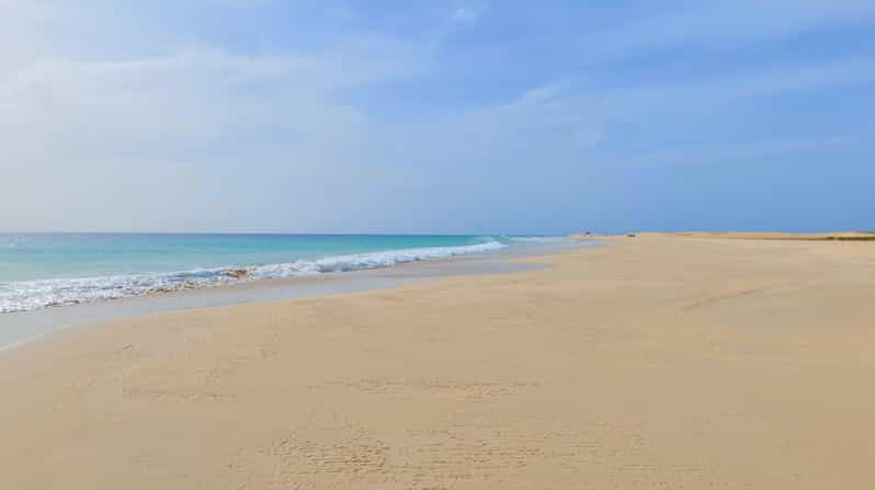 Boa Vista: Sharks, Turtles, Caves, Sandboarding & Tasting | GetYourGuide