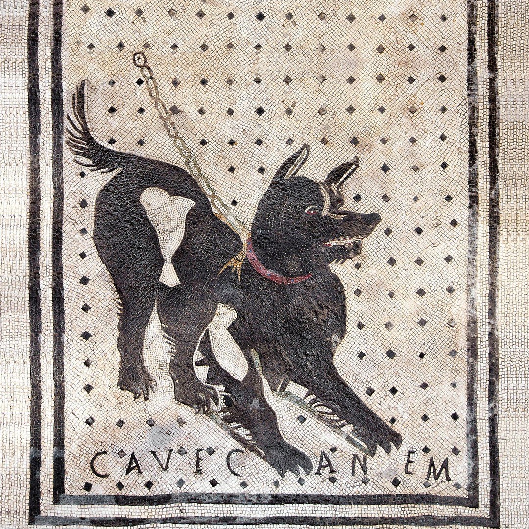 Galerie média