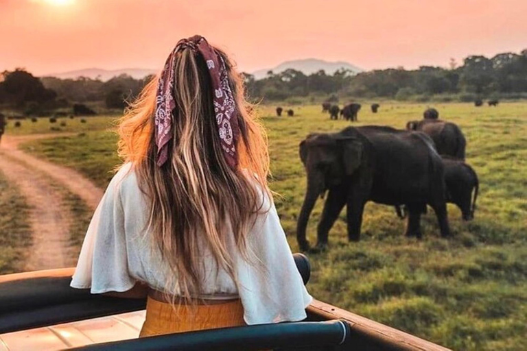 From Colombo: Dambulla, Sigiriya, and Jeep Safari Day Trip