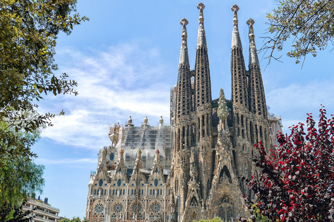 Barcelona: Sagrada Família z pominięciem kolejki - wycieczka i bilet wstępuWycieczka po hiszpańsku