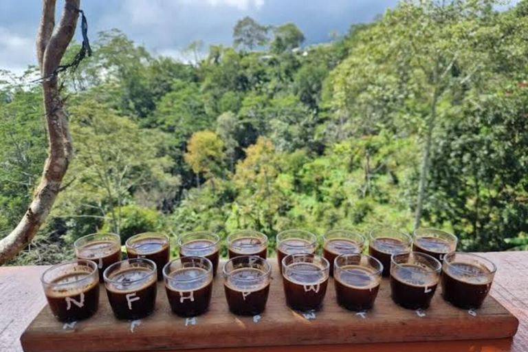 Mount Batur Sunrise Jeep Tour with Black Lava & Breakfast Tour with pick up hotel