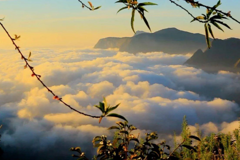 Kochi:- 02- Days, Nature Beauty Munnar Hill Station Tour
