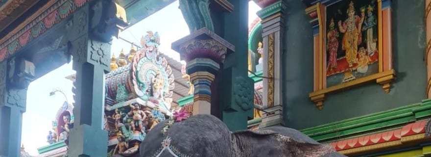 Circuit de 10 jours en voiture privée avec chauffeur au Tamil Nadu et au Kerala !!