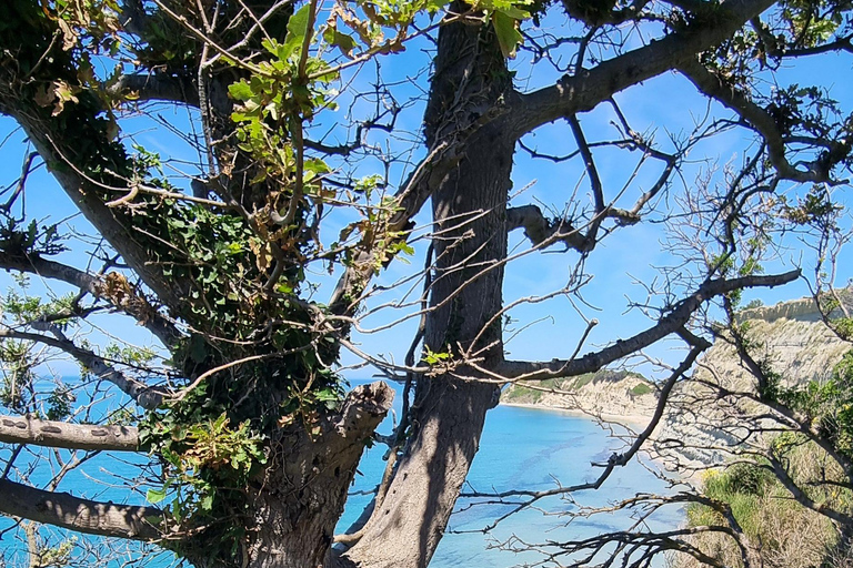 Capo di Rodon, castello, tour di un giorno di snorkeling/spiaggia!