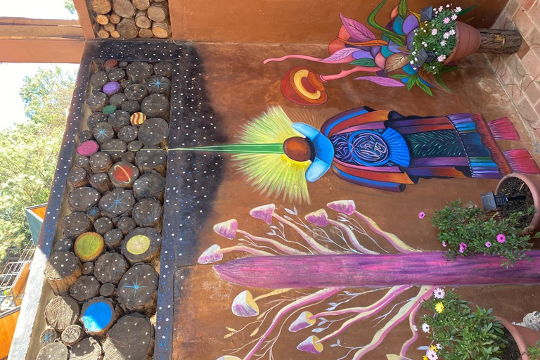 مغامرة من مدينة أواكساكا إلى سان خوسيه ديل باسيفيكوبين الضباب والجبال، مغامرة في سييرا سور.