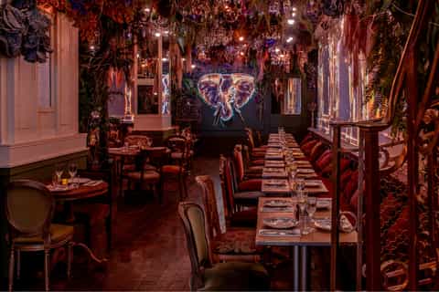 Paris : Déjeuner ou dîner immersif dans la jungle