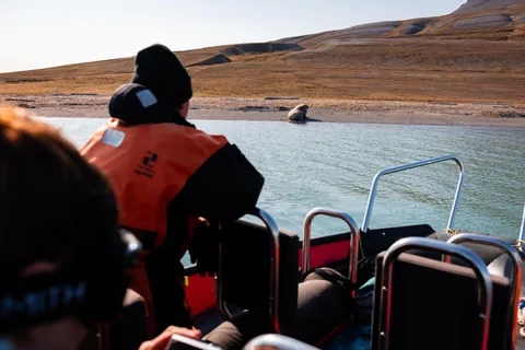 Longyearbyen: Arktische Bootstour mit Gletscher und Wildtieren