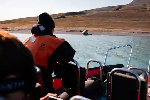 Longyearbyen: Arktische Bootstour mit Gletscher und Wildtieren