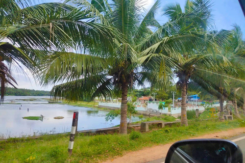 Kochi: Local Sightseeing Tuk-Tuk Tour