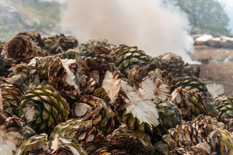 De Oaxaca: Conheça um Maestro Mezcalero