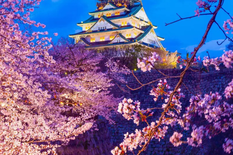 Osaka: Private Night Cruise Through the City of Water