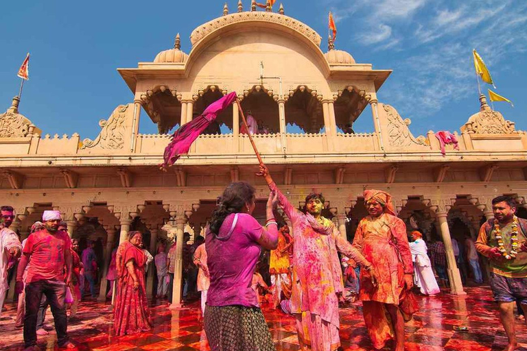 Au départ de Delhi : excursion à Mathura d'une journée avec protection des éléphants