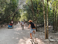 From Tulum, Coba, Punta Laguna and Cenote Day Trip - Housity