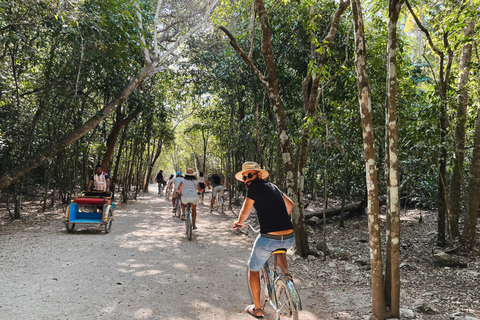 From Riviera Maya: Coba, Punta Laguna and Cenote Day Trip From Tulum: Coba, Punta Laguna and Cenote Day Trip