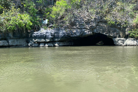 Langkawi Mangrove Aap Arrangement