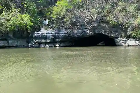 Forfait singe de la mangrove de Langkawi