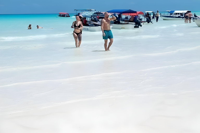 Zanzibar: Mnemba Island Snorkeling Trip with Dolphin … Tour With Meeting Point At Mama Mia Restaurant Beach Side