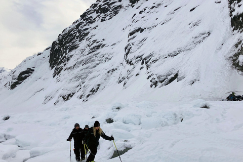 Guided Snowshoeing Adventure from Seward, Alaska 6-Hour Tour