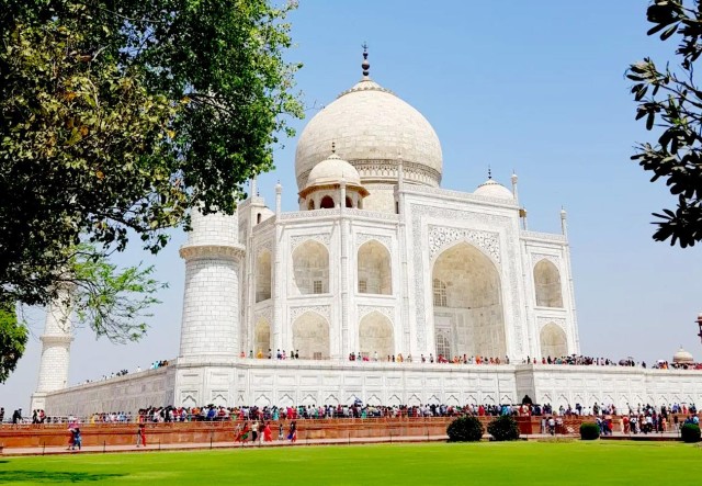 Visit From Agra: Taj Mahal Trip with Elephant Conservation by Car in Agra