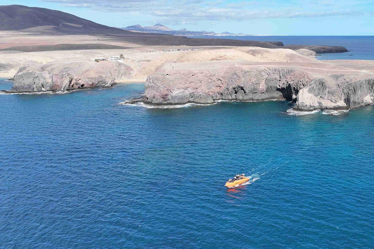 Lanzarote High-Performance Boat: Excursion to Isla de Lobos and Papagayo